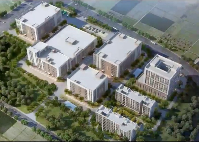 Qingdao Meilianjia International Trade Co., Ltd Fabrik Produktionslinie