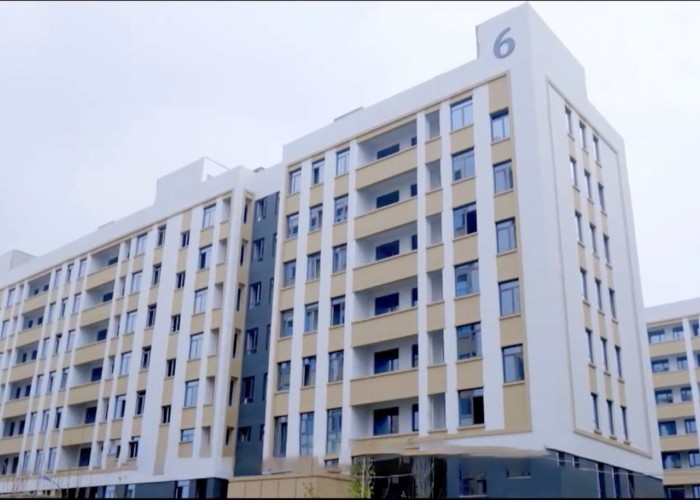 Qingdao Meilianjia International Trade Co., Ltd Fabrik Produktionslinie