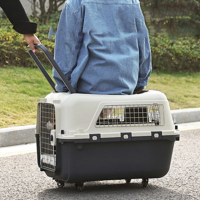 Sichere Doppeltür-Design Katzen-Hund-Reisetasche mit Rädern und supergroßem Platz