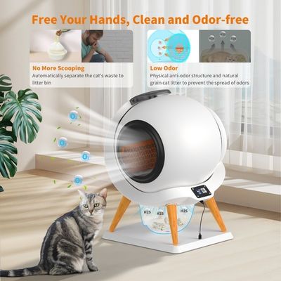 Große selbstreinigende Katzentoilettenschale in Holzmöbeln für ODM-Designs eingeschlossen