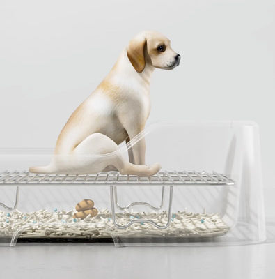 Bequeme Innenhunde-Potty-Bett ohne Leck-Leck-Schutzwand und leicht sauberes Design