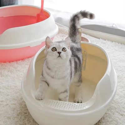 Hochseite PP Plastik Katzentoilette Groß anti-Spritz öffnen Top Katzenmüllbox für Innenräume
