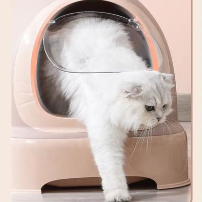Einfache Reinigung Doraemon Design Katzenmüllbox mit Scooper und Deckel Verhindern Müllstreuer