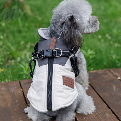 CLASSIC Style Winterjacke für Hunde wasserdicht und winddicht Haustierkleidung mit Gurt