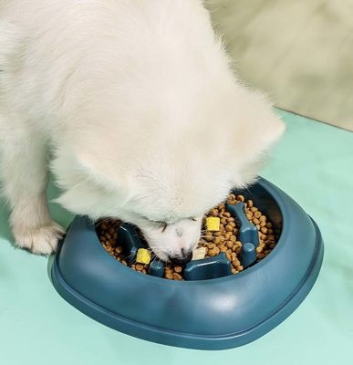 Slow Food-Schüssel für kleine und mittlere Haustiere