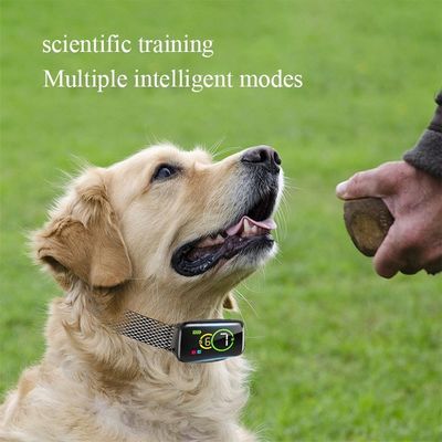 IP67 Wasserdichtes Hunde-Trainingskragen 4 Warnmodi Ton Vibration Statischer Schock Upgrade