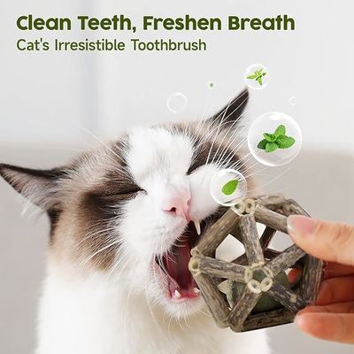 Silvervine Katzenspielzeug für Selbstspiel und Zahnreinigung aus natürlichem Polygonum Arboreum