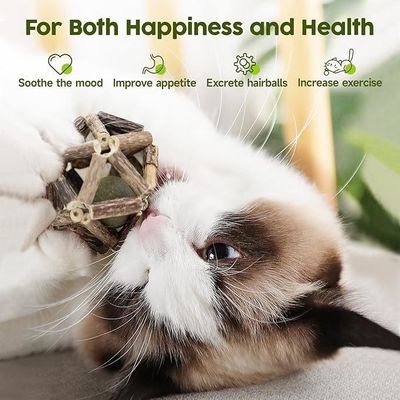 Silvervine Katzenspielzeug für Selbstspiel und Zahnreinigung aus natürlichem Polygonum Arboreum