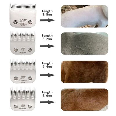 Saubere Funktion Schwerlast-Hundehaarknipfer mit individuellem Logo LED-Display enthalten