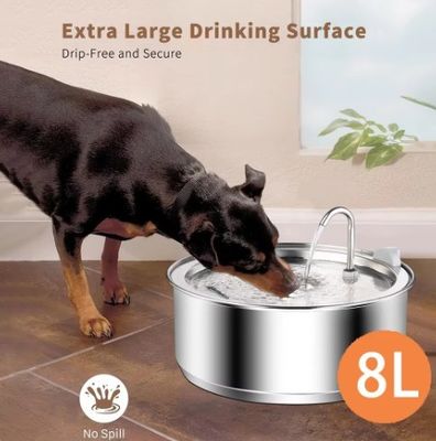 Automatische Wasserquelle aus Edelstahl für mehrere Katzen und Hunde
