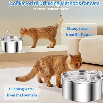 Automatische Wasserquelle aus Edelstahl für mehrere Katzen und Hunde