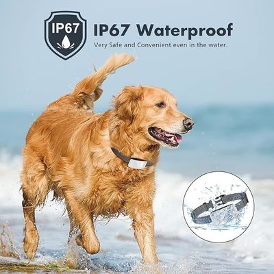 Automatisches Wiederaufladbares Hunde-Training Bark Control Kragen Weich