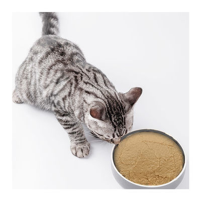 Wet Food für Haustiere, Katzen, Professionelle OEM-Katzenfutter-Lunchbox für mittelgroße Rassen mit spezieller Diät