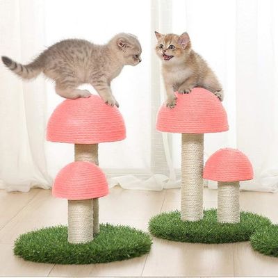 Indoor Kätzchen Klettern Post Nachhaltige Pilz Katze Kratzen Post mit interaktivem Spielzeug