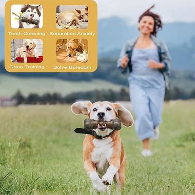 Nachhaltiges Modestylen Hunde-Squeak-Spielzeug Stick Knochen für Zähne Reinigung Kauspielzeug