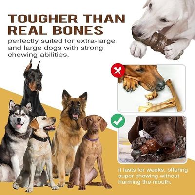 Nachhaltiges Modestylen Hunde-Squeak-Spielzeug Stick Knochen für Zähne Reinigung Kauspielzeug