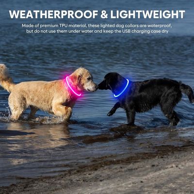 LED Glow Hundehalsband mit benutzerdefiniertem Logo USB Wiederaufladbar wasserdicht 3 Blinkmodi