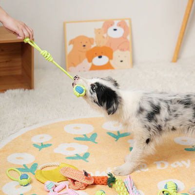 Spielzeug für Hunde 7PC Set geflochtene Seil Spielzeug für Haustier Zähne Reinigung und interaktives Vergnügen
