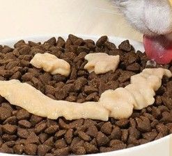 Vorteilhafter Protein-Hoch-Katz-Stick für mittelgroße Rassen Frisches Fleisch 2024 Tierfreuden