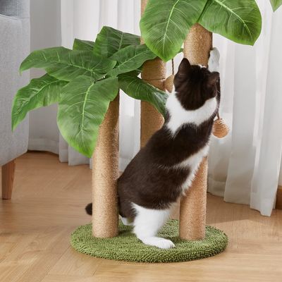 Katzen-Kokospalmen-Kletterrahmen mit natürlichen Sisal-Kratzstangen und Hängebällchen