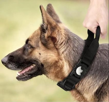 Nylon-Hunde-Training-Halsband für Laufen Wandern Wandern Airtag Tracker Schutzkoffer jetzt