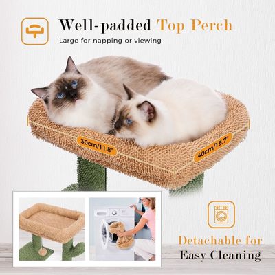 Holzmoderne Katze Sisal Kratzer Kaktus Katzenbaum mit Hängematte und Kratzpfosten