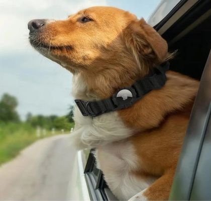 Hundehalsband Öko-freundliche Nylon-Verstellbare Haustierhalsbänder mit Air Tag GPS-Tracker Hundeleiter