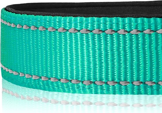 Weiches Neoprenpolster Hundehalsband mit wasserdichtem Reflektor C-01