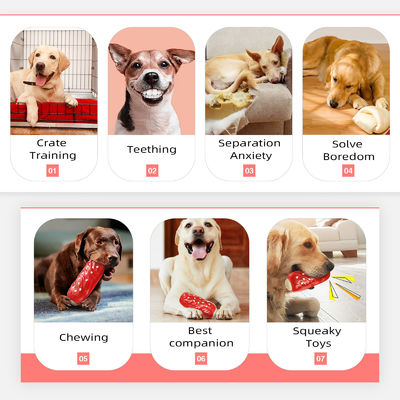 Interaktives Hunde-Spielzeug für kleine, mittlere und große Hunde