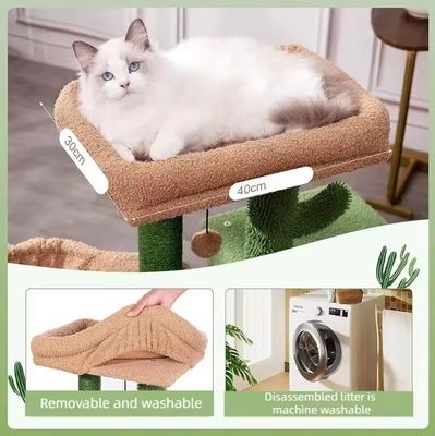 Katzenkratzer Haus Spielzeug Kleines grünes Katzenbaum Kaktus Kätzchenkratzer für Innenkatzen
