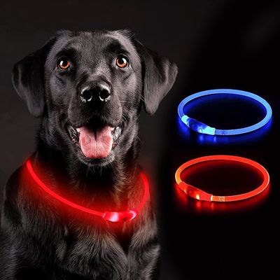 Akzeptabeles, abnehmbares, beleuchtetes Hundehalsband für Haustiere
