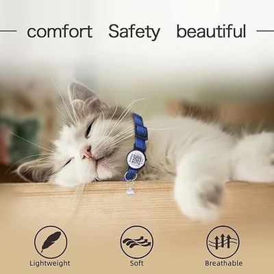 Personalisiertes Logo Akzeptables Tier Trainer Halsband mit QR-Code Weiches Polyester Material