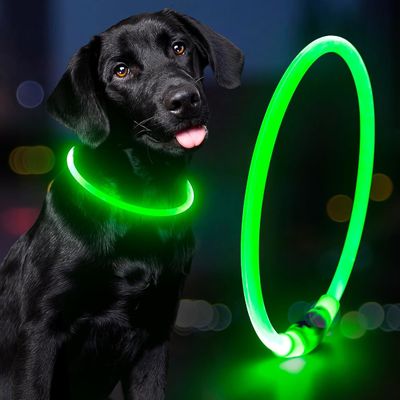 USB-Wiederaufladbares wasserdichtes Hundehalsband für den Nachtspaziergang und Training