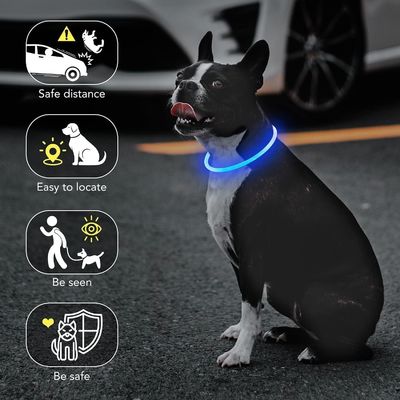 USB-Wiederaufladbares wasserdichtes Hundehalsband für den Nachtspaziergang und Training
