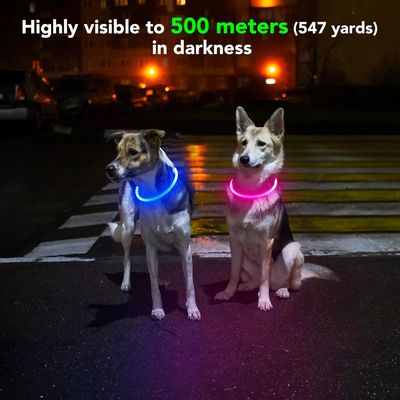 USB-Wiederaufladbares wasserdichtes Hundehalsband für den Nachtspaziergang und Training