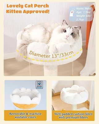 Plüschperche Süße Katze Baum Weiße Wolke Katze Turm für kleine Katzen und Tiere