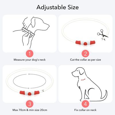 USB-Wiederaufladbares wasserdichtes Hundehalsband für den Nachtspaziergang und Training