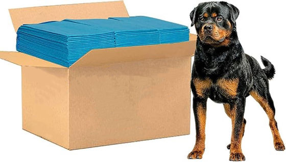 56*56cm Kleine Tiere Tiertraining Pad mit undichtem Wegwerftoilettenmatte Windel