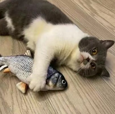 Catnip Plush Elektrobewegtes Fisch-Katz-Spielzeug für nachhaltige und interaktive Spielzeit