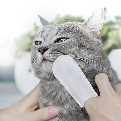 Bequeme Zahnreinigung für Katzen und Hunde