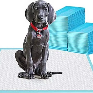 Wasserdichte Puppenwindel für Kleintiere Einweg-Potty Pad