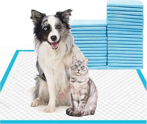 56*56cm Absorptionsmittel Leckfreies Hunde-Training Pisse unter dem Pad Ideal