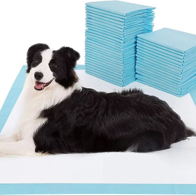100 Packungen Atemfähige Einweg-Haustierpolster mit Absorptionsmittel und Lecksicherung