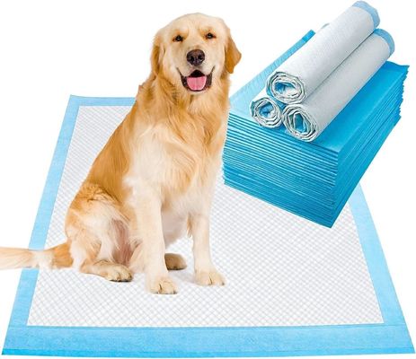 Schnelltrocknende Einweg-Hunde-Trainings-Pisse unter dem Pad mit nachhaltigem Material