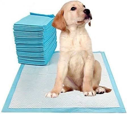 Kleine Tiere gesunder Stil Indoor Toilettentraining Pet Pee Pad Absorber 56 x 56 cm