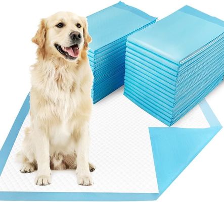 Welpenpussentraining Superabsorbierende Einweg-Hunde-Training-Pads für den Pussy-Training