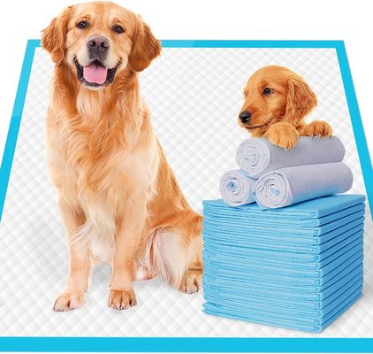 Hundetraining-Pisspad für nachhaltig undichtes Pussy Absorbent für Haustiere
