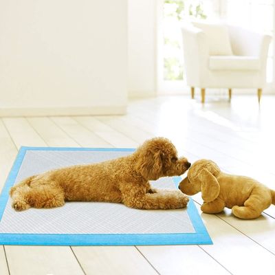Hundetraining-Pisspad für nachhaltig undichtes Pussy Absorbent für Haustiere