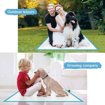 Hunde Katzen usw. Haustiere Waschbare wasserdichte Haustiermatte für Urin-Absorber-Training