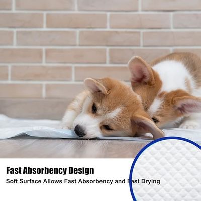 Hunde Katzen usw. Haustiere Waschbare wasserdichte Haustiermatte für Urin-Absorber-Training
